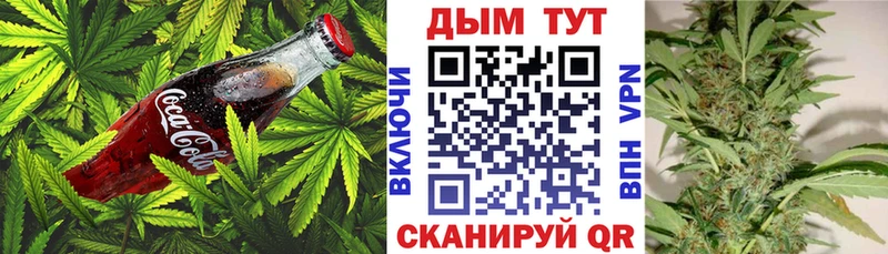 дарнет шоп  Томмот  Cannafood конопля 
