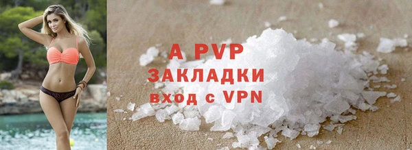 ПСИЛОЦИБИНОВЫЕ ГРИБЫ Белоозёрский