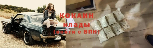 крисы Снежногорск