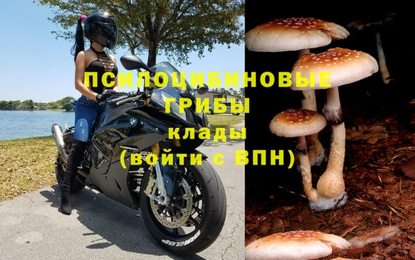 ПСИЛОЦИБИНОВЫЕ ГРИБЫ Белоозёрский