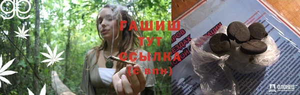 индика Слюдянка