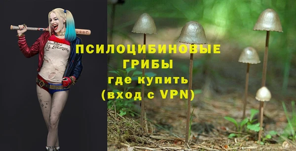 герыч Богородск